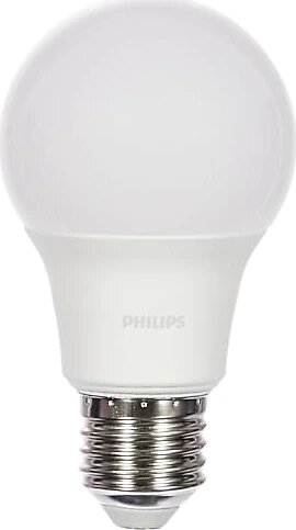 Philips 40W LED Ampul