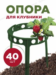 Основная фотография от вендора