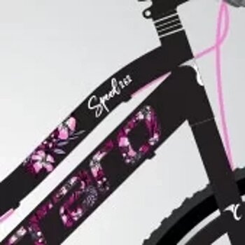 Carraro Speed 262 V Fren 21 Vites 26 Jant Dağ Bisikleti Siyah Pembe