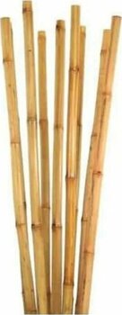Bambu Bitki Destek Çubuğu 105 Cm 50 Adet