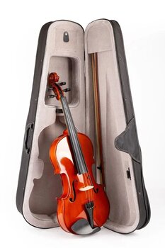 Vl-01 Orta Kalite Viyola 4/4 Tam Boy (Parlak)