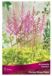 Основная фотография от вендора