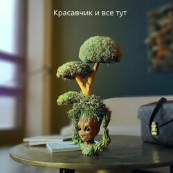 Основная фотография от вендора