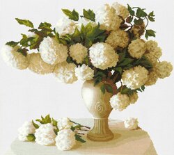 Основная фотография от вендора