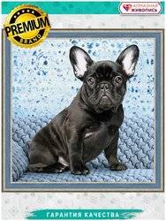 Основная фотография от вендора