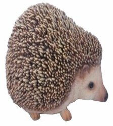 Основная фотография от вендора