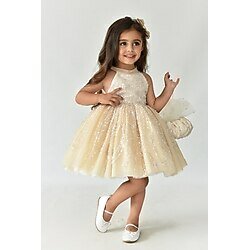 Bertuğ Bebek Dantel Süslemeli Cappuccino Camel Tasarım Abiye Kız Çocuk Tül Birçe Elbise 5 Yaş