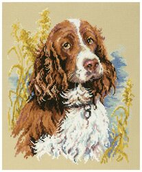 Основная фотография от вендора