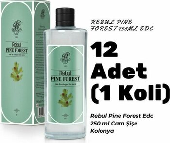Rebul Pine Forest Edc 250ML Cam Şişeli Çam Ormanı Kokulu Kolonya 12 Adet (1 Koli) - 250 ml