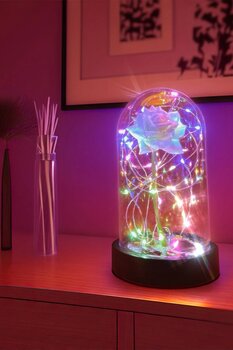 CelestiaAnneler Gününe Özel Beyaz Gül Rgb Fanus Lamba Usb'Li Yapay Çiçek Dekoratif Aydınlatma Hediyelik
