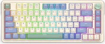 Redragon Ucal Pro K673CPG-RGB-PRO RGB %75 TKL Kablolu/Kablosuz Mekanik Oyuncu Klavyesi