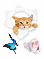 Основная фотография от вендора