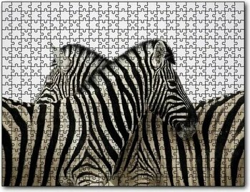 Cakapuzzle Yanyana Bir Çift Zebra 1000 Parça Puzzle