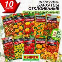 Основная фотография от вендора