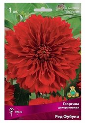 Основная фотография от вендора