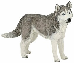 Основная фотография от вендора