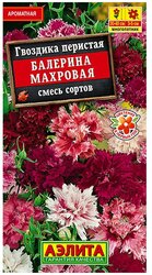 Основная фотография от вендора