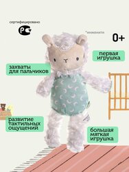 Основная фотография от вендора