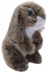 Основная фотография от вендора