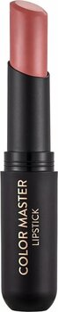 Flormar Kalıcı Mat Stick Ruj - Color Master Sls. - 003 Daily Must- 8682536017930