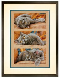 Основная фотография от вендора