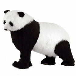 Основная фотография от вендора