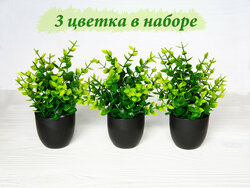 Основная фотография от вендора
