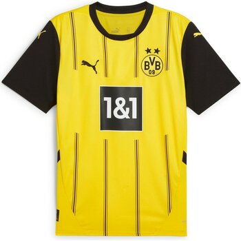 Borussia Dortmund 24/25 Erkek Iç Saha Forma - XS - Sarı - Siyah