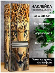 Основная фотография от вендора