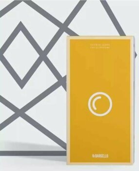 Bargello 161 Oriental Kadın 100 ML EDP Parfüm