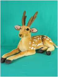 Основная фотография от вендора