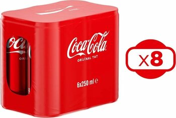 Coca Cola 250 Ml 6'lı Kutu X 8 Adet