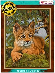 Основная фотография от вендора