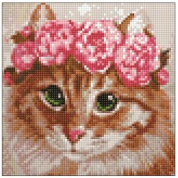 Основная фотография от вендора