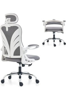HOLLUDLE Katlanabilir Sırtlıklı Ergonomik Ofis Koltuğu, 2D Baş Destekli, File Bel Desteği