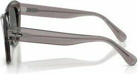 Ray-Ban Rb2186 1369/71 49 Kadın Güneş Gözlüğü