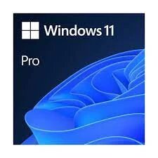 Microsoft Windows 11 Pro Oem Lisans Key