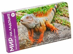 Основная фотография от вендора