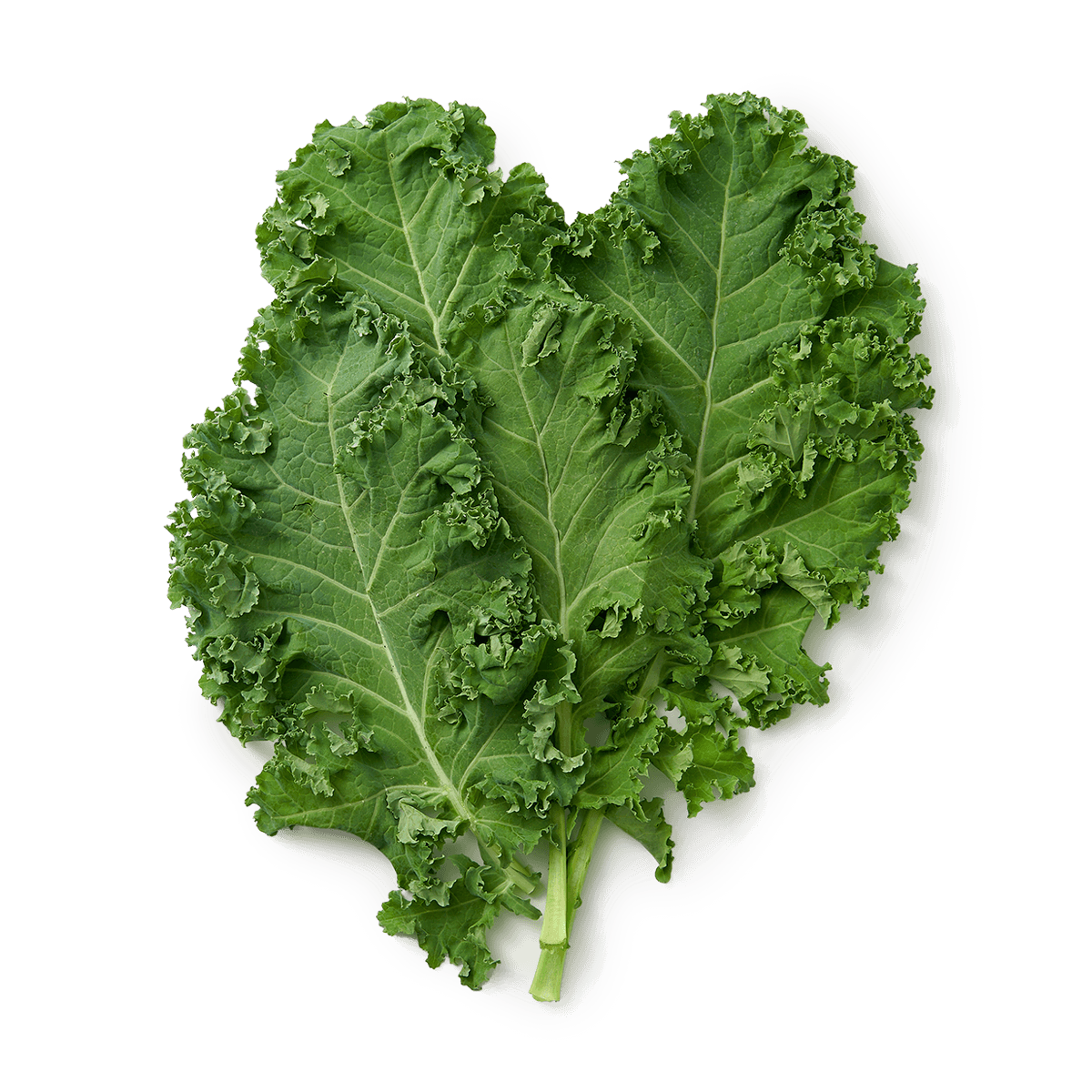 Изображение товара Капуста «Кейл» 75 г