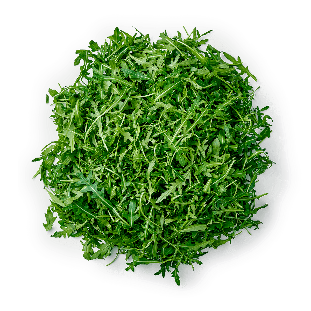 Изображение товара Рукола 125 г