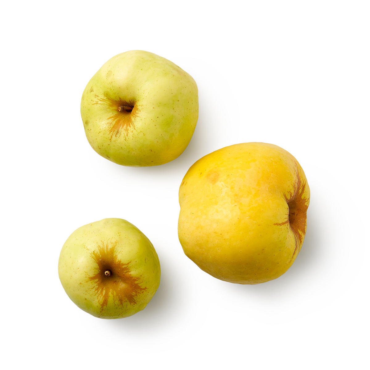 Изображение товара Яблоки Антоновка Россия 500 г