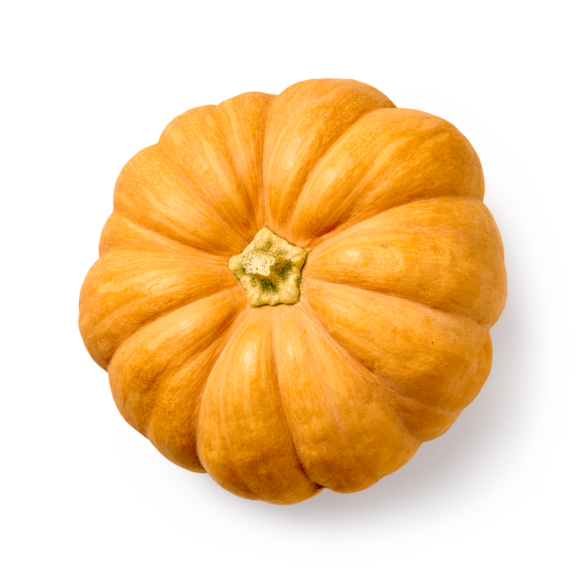 Изображение товара Тыква мускатная Россия 1 шт.