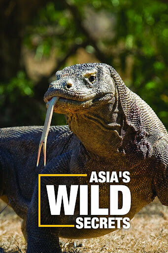 Тайны дикой Азии (2020)