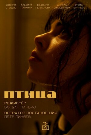 Постер: (Птица, 2024 - вся информация о фильме на FilmNavi.ru