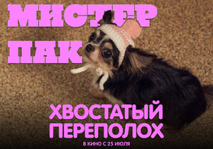 Постер: (Хвостатый переполох, 2024 - вся информация о фильме на FilmNavi.ru