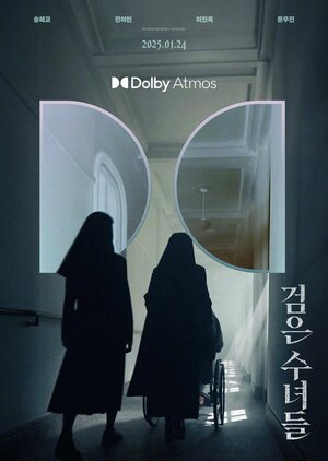 Постер: (Астрал: 13 инкарнаций зла, 2025 - вся информация о фильме на FilmNavi.ru