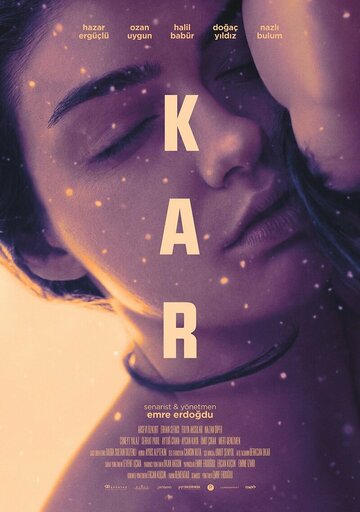  (2017)