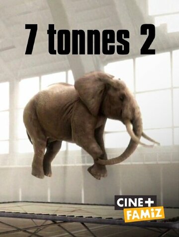 7,2 тонны (2004)