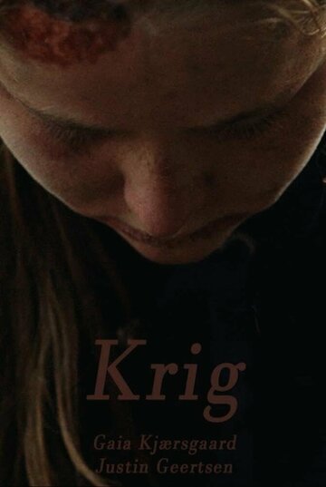  (2017)
