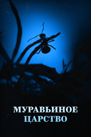 Постер: (Муравьиное царство, 2022 - вся информация о фильме на FilmNavi.ru